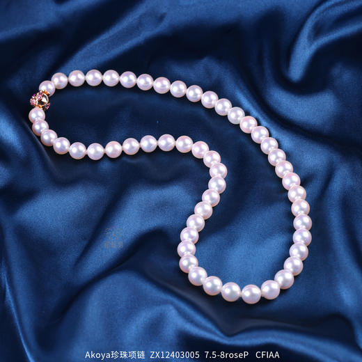【臻雅】Akoya珍珠项链-ZX12403005 商品图6