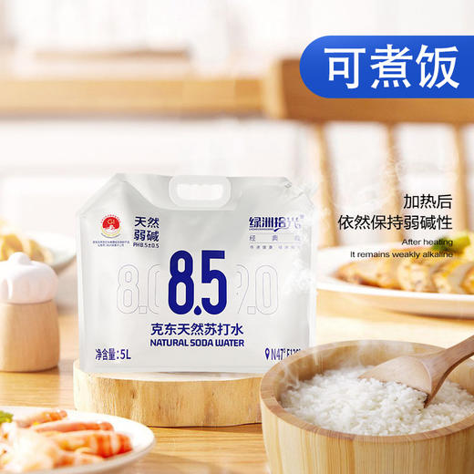 顺丰包邮【自营】绿洲时光克东天然苏打水 5L*2袋/箱 NM 商品图1