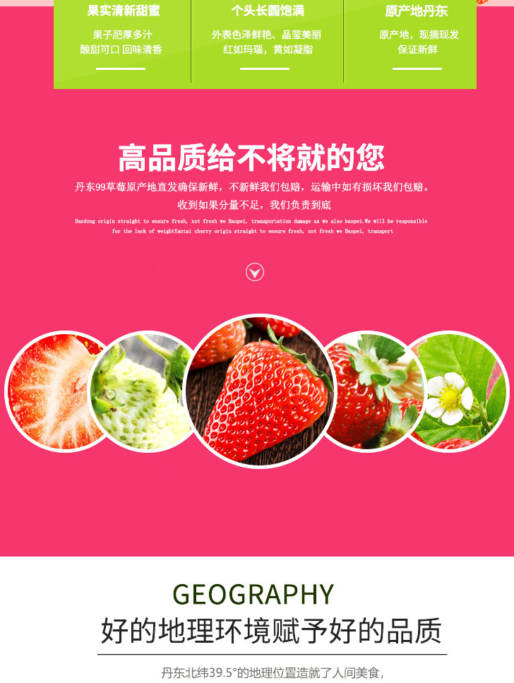 草莓详图_02.jpg