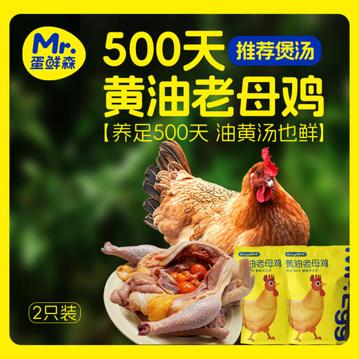 蛋鲜森 无抗500天黄油老母鸡1350g±100g/只 商品图1