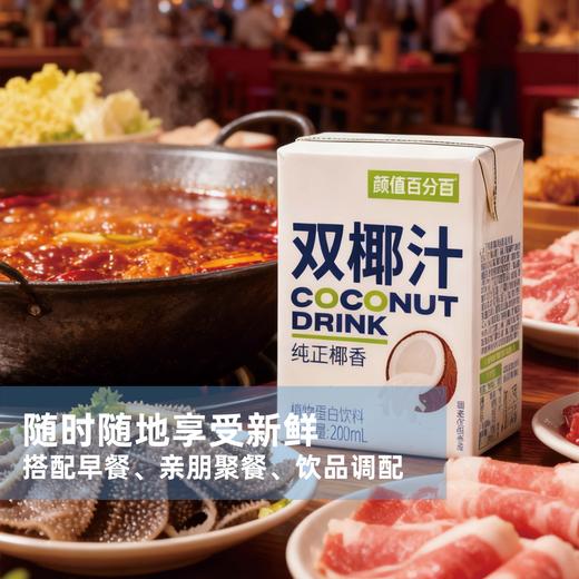 【买12送12】双椰汁 椰子汁 生椰汁 商品图4