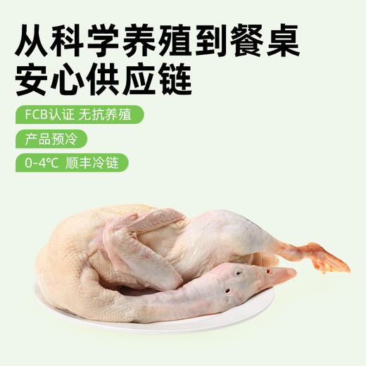 宏鸭无抗雪花鸭，保留了鸭肉本身的鲜香，腥味更淡，无论是煎、烤、炖、炒，都能凸显原汁原味 商品图1