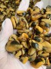&天然淡菜干！蛋白质含量非常高，可以用来煮粥或者煮汤喝 商品缩略图1