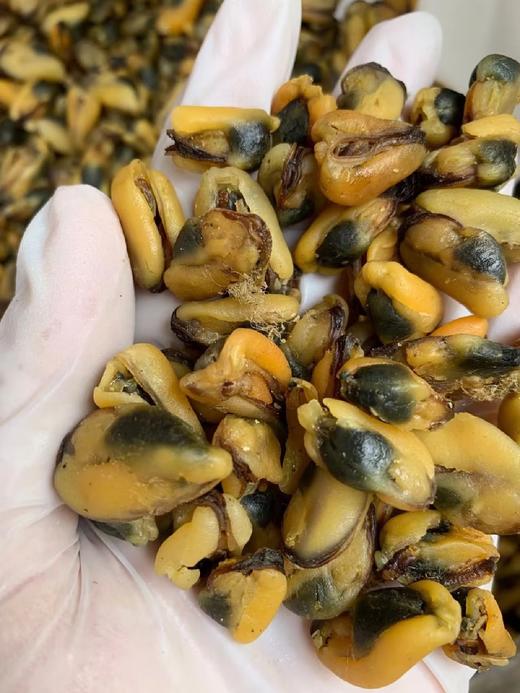 &天然淡菜干！蛋白质含量非常高，可以用来煮粥或者煮汤喝 商品图1