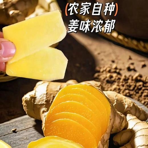 安顺贵安【农家小黄姜二黄姜】25年应季新品姜味浓郁生态种植健康无污染净重1斤装 商品图5