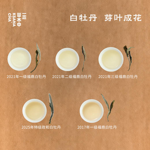 白茶大赏4g*15/盒 | 十五口味 | 白茶类（仅带喝品鉴） 商品图3