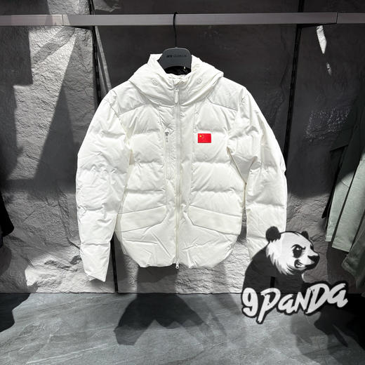 安踏冠军2025冬装新款男士羽绒服鹅绒服连帽保暖外套152540940 商品图0