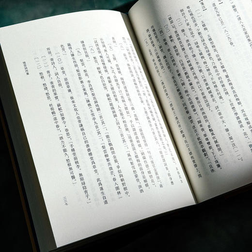 忆云词笺注 清代名家词选刊 精装 项鸿祚词集深度整理笺注本 商品图12