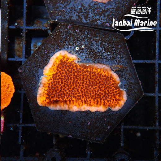 人工红石瓦 商品图7