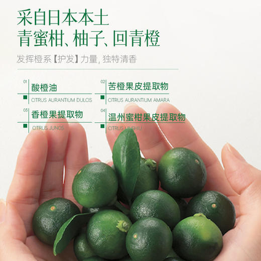 KANKIROU/柑气楼 柑橘丰润控油 洗发露 600g 商品图4