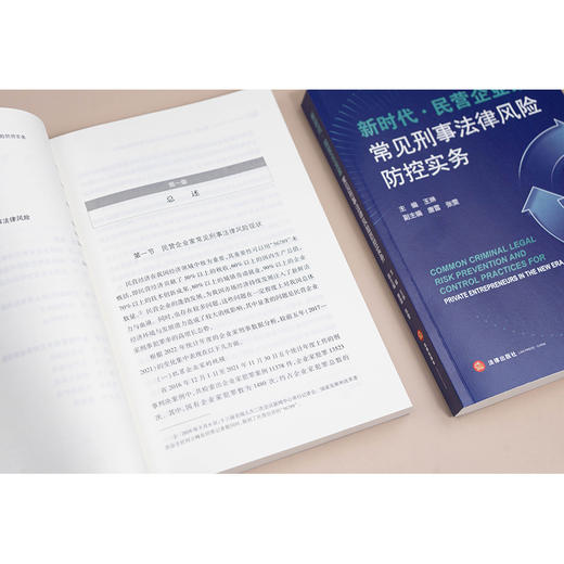新时代·民营企业家常见刑事法律风险防控实务 王琳主编 唐雷 张雯副主编 法律出版社 商品图3