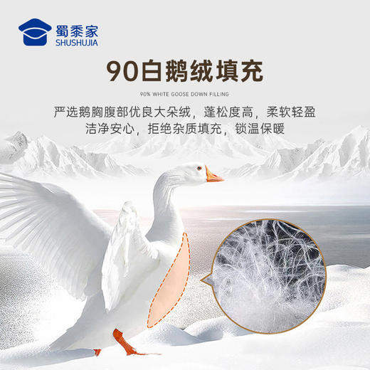 【实付满399送保温杯】【纯棉磨毛鹅绒保暖衬衫】休闲保暖打底衬衫商务通勤长袖衬衣CT523 商品图3