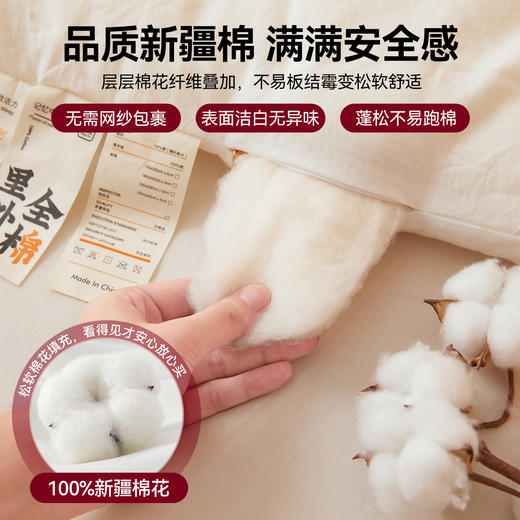 【品牌直发】小象咘叮 绣花被全棉刺绣被芯 里外全棉新疆棉花被纯棉被芯被子春秋被冬被儿童被 商品图4