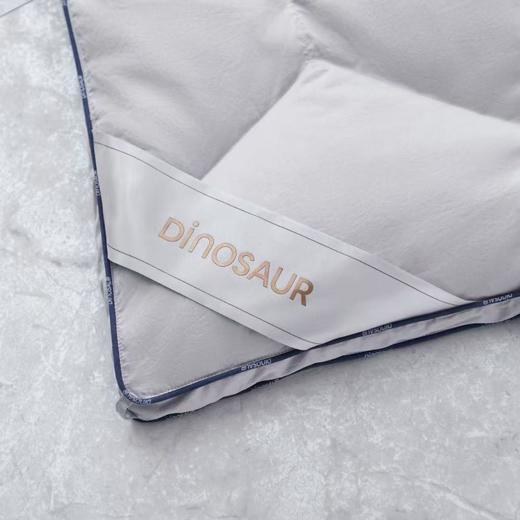 【恐龙厅】B7 丨恐龙星宇抗菌白鹅绒冬被 商品图3