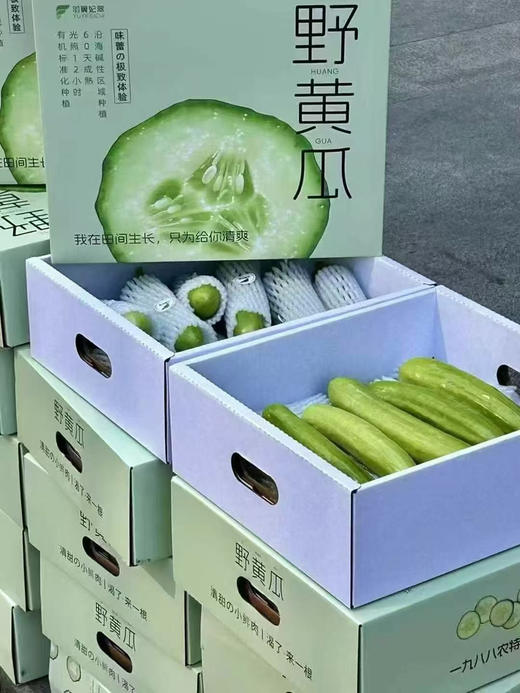 超级新鲜的“水果野黄瓜”绿色新鲜水果🌵  清爽你的味蕾！瘦身女士的佳品！小巧秀美，青翠欲滴，鲜嫩清脆🌸 清香扑鼻，清洗一下即可食用，营养丰富，美容美颜💆！ 商品图0