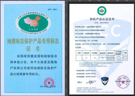 【双有机认证】大连自家海域上等即食海参，是用来做高档淡干海参的原料，全程无添加工艺结合低温熟化方式，4年自然生长周期，品质难得，肉质紧实，囗感弹中透滑糯，无异味，性价比极高，辽宁省内包邮 商品图6