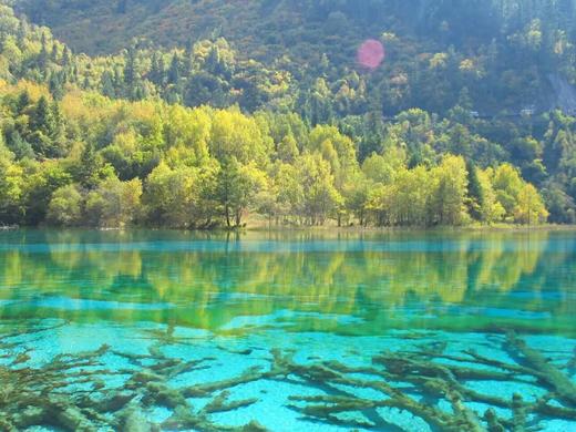 【川西秋冬秘境·九寨沟阿布氇孜山野美宿】￥699起抢庭院房/帐篷房，徒步彩林+云海追光，把秋日浪漫焊在旅途中~ 商品图3