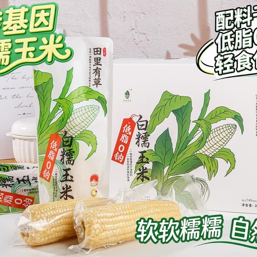 田里有草白糯玉米 商品图2