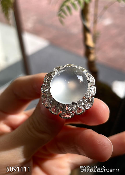 玻璃种蛋面戒指【5091111】具体价格微信咨询 商品图0