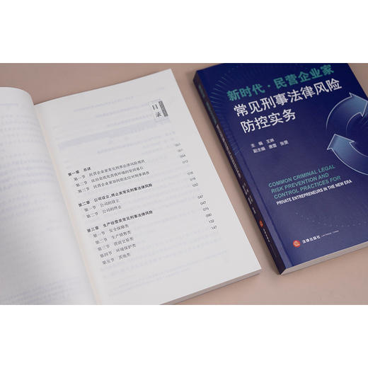 新时代·民营企业家常见刑事法律风险防控实务 王琳主编 唐雷 张雯副主编 法律出版社 商品图4