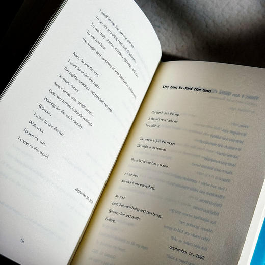 The Garden Beyond the Shore 彼岸花园 李爽诗集英译本 精装 商品图11