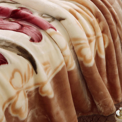 547545684-拉舍尔双层毛毯秋冬加厚成人儿童毛毯法兰绒毯子-RJ104 商品图2