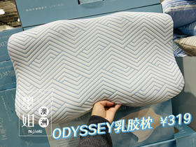 ODYSSEY LIVING枕头颈椎记忆棉支撑力可拆洗