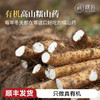 有机山药新鲜现挖顺丰包邮产地直发糯山药非焦作铁棍山药 5斤箱装 商品缩略图0