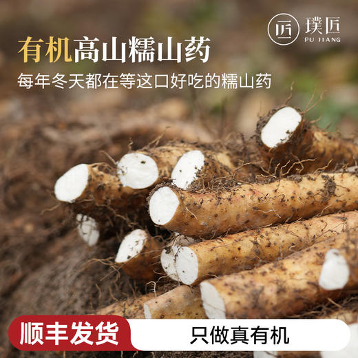 有机山药新鲜现挖顺丰包邮产地直发糯山药非焦作铁棍山药 5斤箱装 商品图0
