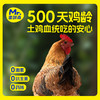 蛋鲜森 无抗500天黄油老母鸡1350g±100g/只 商品缩略图2