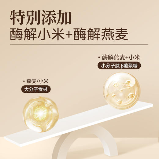 璞匠八珍粉官方旗舰店正品山药粉薏仁粉茯苓莲子陈皮早餐粉食品 商品图4