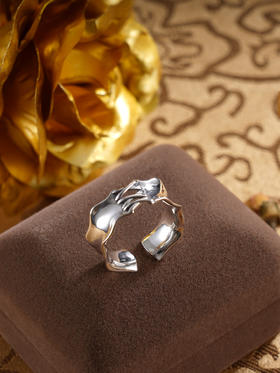 子佩集S925银【封锁之恋】戒指【JZ-1193】纯银原创22502