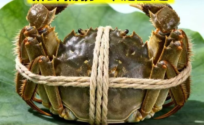 大闸蟹7.9元/只（到店自提，21号取货）