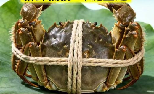 大闸蟹7.9元/只（到店自提，21号取货） 商品图0