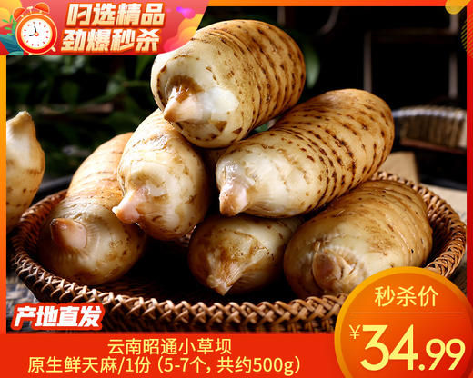 【预售-12月31日配送】云南昭通小草坝原生鲜天麻/1份（5-7个，共约500g） 商品图0