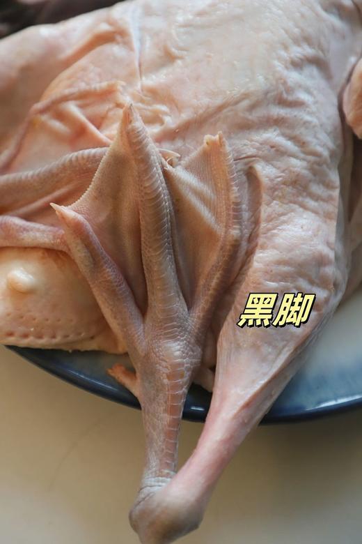 【风味人间】一啊鸭 双黑土鸭 生态慢养180天老鸭 不柴不腥不腻 顺丰冷链发货 商品图8