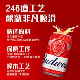 MM 百威啤酒255ml