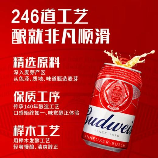 MM 百威啤酒255ml 商品图0