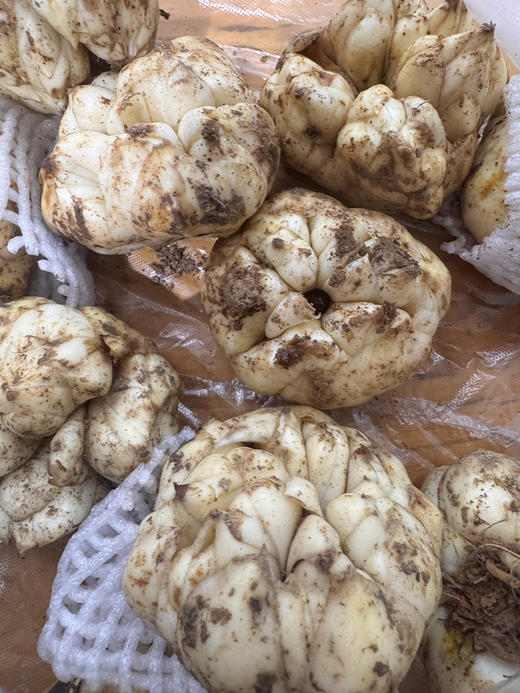 宜兴百合两斤装 商品图0