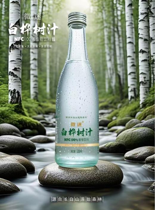 【微迷】白桦树原汁 商品图0