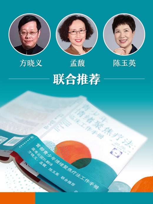 青少年情绪聚焦疗法 : 临床工作手册 商品图5
