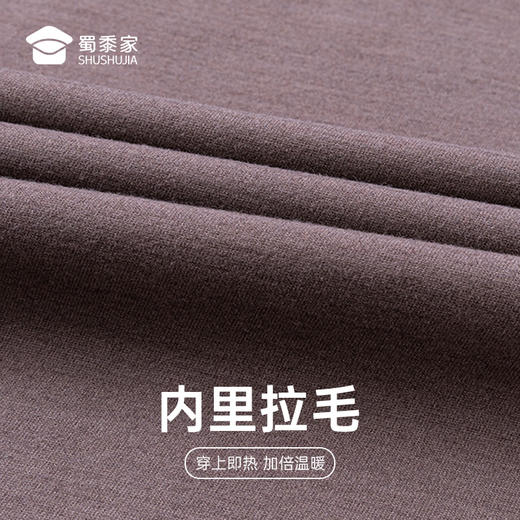 【实付满399送保温杯】【可机洗含羊毛拉绒蓄热衬衫】加厚保暖打底衬衫商务通勤长袖衬衣CT521 商品图4