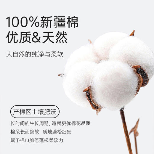 洁丽雅纯棉浴巾女5A抑菌家用酒店浴巾男士洗澡纯色情侣缎档柔软 商品图4