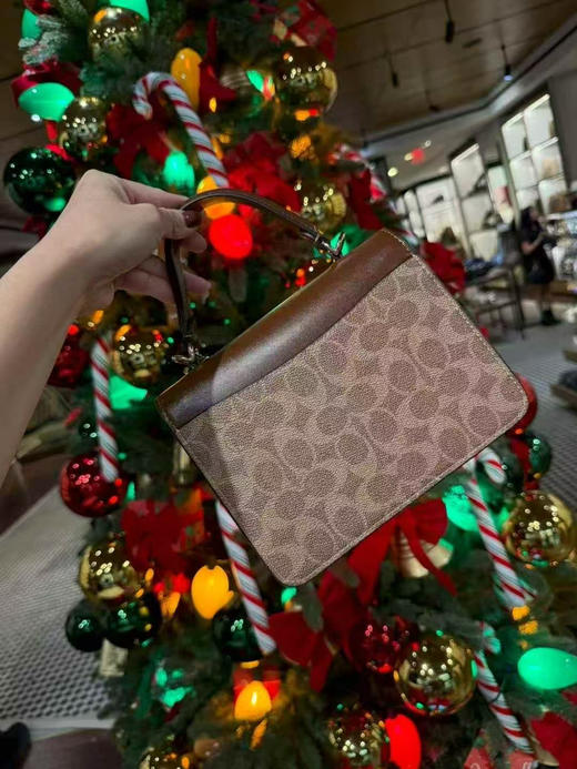 上新折扣1599￥🇺🇸直邮🎄咖棕色老花Coach新款Courtney 水晶扣方盒子包，🉑手提斜挎 商品图3
