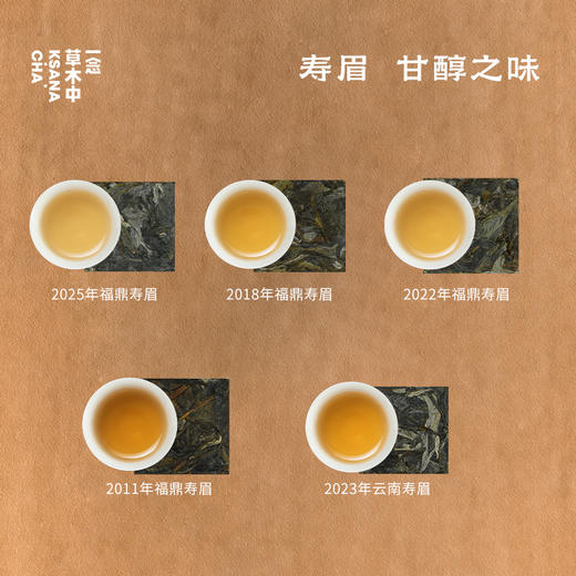 白茶大赏4g*15/盒 | 十五口味 | 白茶类（仅带喝品鉴） 商品图4