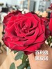 百利信单头玫瑰 | 黑皮诺 商品缩略图0
