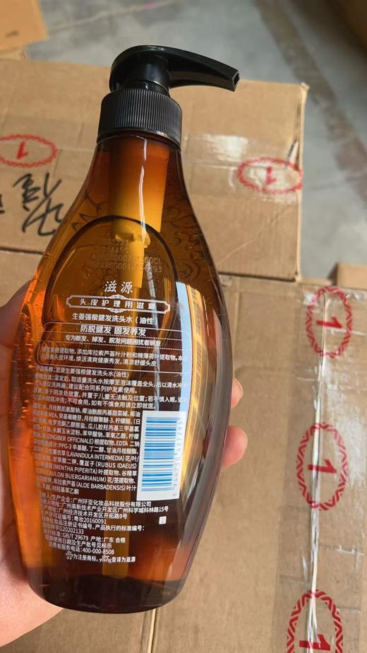 滋源 生姜强根健发洗发水油性26年12月 商品图1