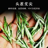 【买2赠1】伏牛山艾草尖茶 端午采摘头茬艾尖  道地产区 精心炒制  艾香浓郁 商品缩略图1