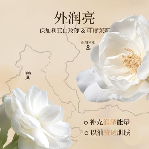 【社群福利】嘉媚乐白爷爷白玫瑰莹透焕亮雪肤精油礼盒 +白奶奶典藏焕肤铂金雪肌SPA礼盒  淡黑焕亮 唤醒发光肌 商品图4