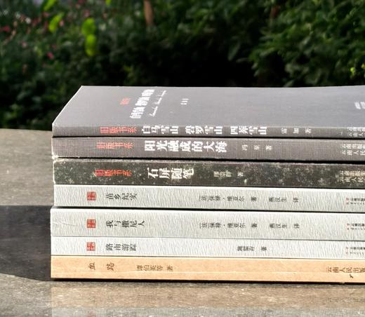 绝版！！旧版书系七种，书名如图，施蛰存、缪崇群、冯至雷加、[法]保禄 维亚尔等著，云南人民出版社2003年开始印刷，年份不等，七册总定价139元，售价108元。 商品图1